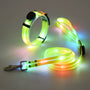 Leuchtendes LED-Hundehalsband mit Gurt - NightBright