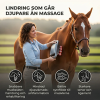 Red Light Muscle Relief Device for Horses - Soothes Stiffness 4