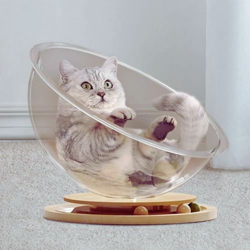 Speel- en Ontspan Haven voor Jouw Kat - PurrPlay Pod