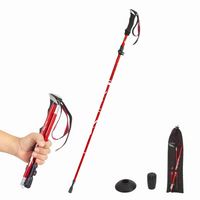 Verstellbarer Wanderstock - TrekPro
