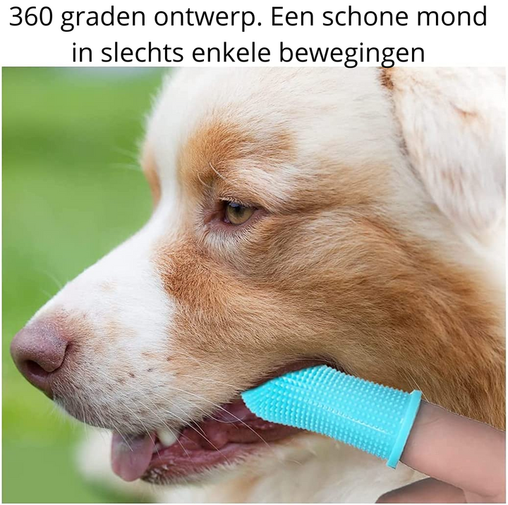 Dog Dental Cleaner | Safe Material & Convenient to Use