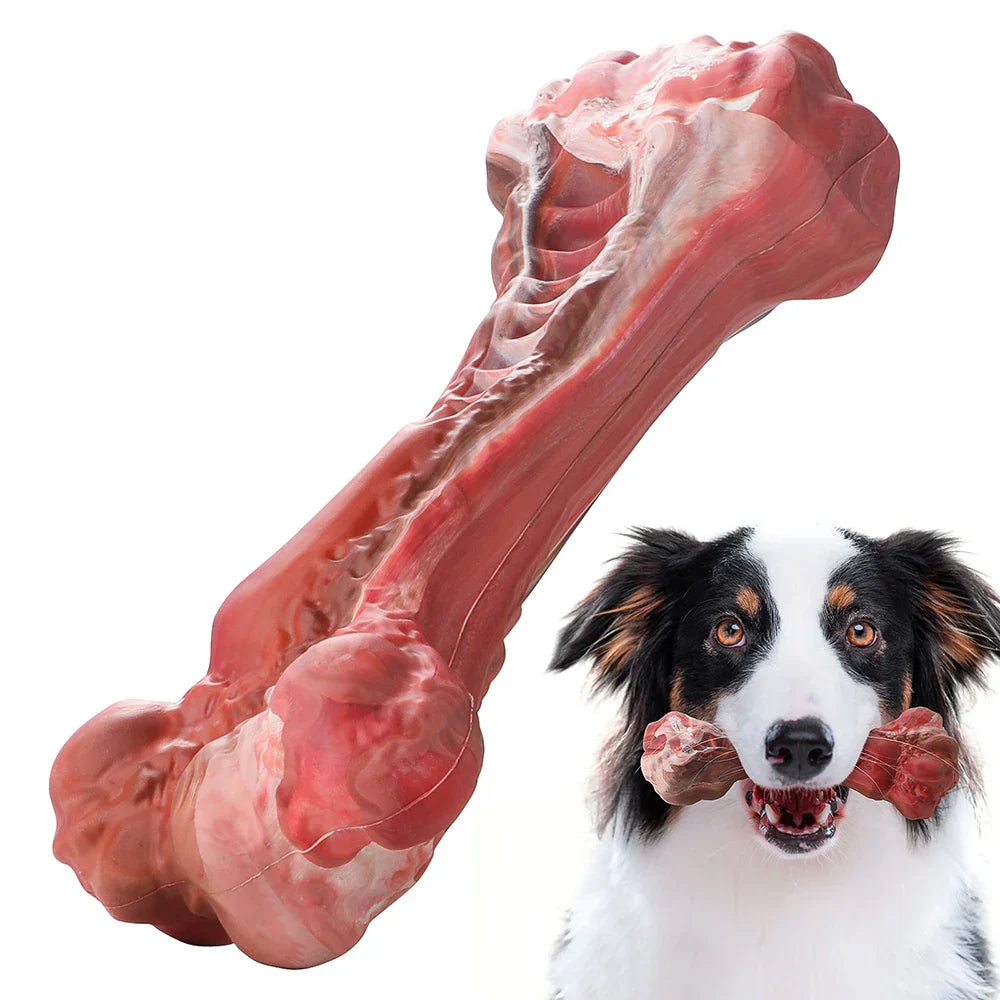 De Speelse Tandverzorger voor Honden - BuddyChew