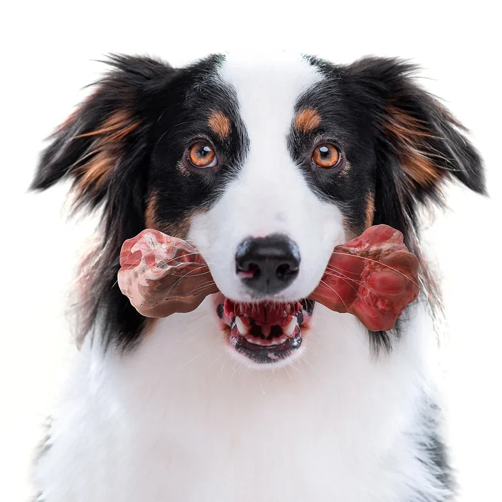 De Speelse Tandverzorger voor Honden - BuddyChew