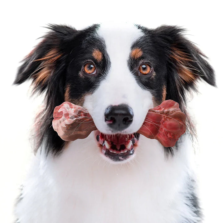 De Speelse Tandverzorger voor Honden - BuddyChew