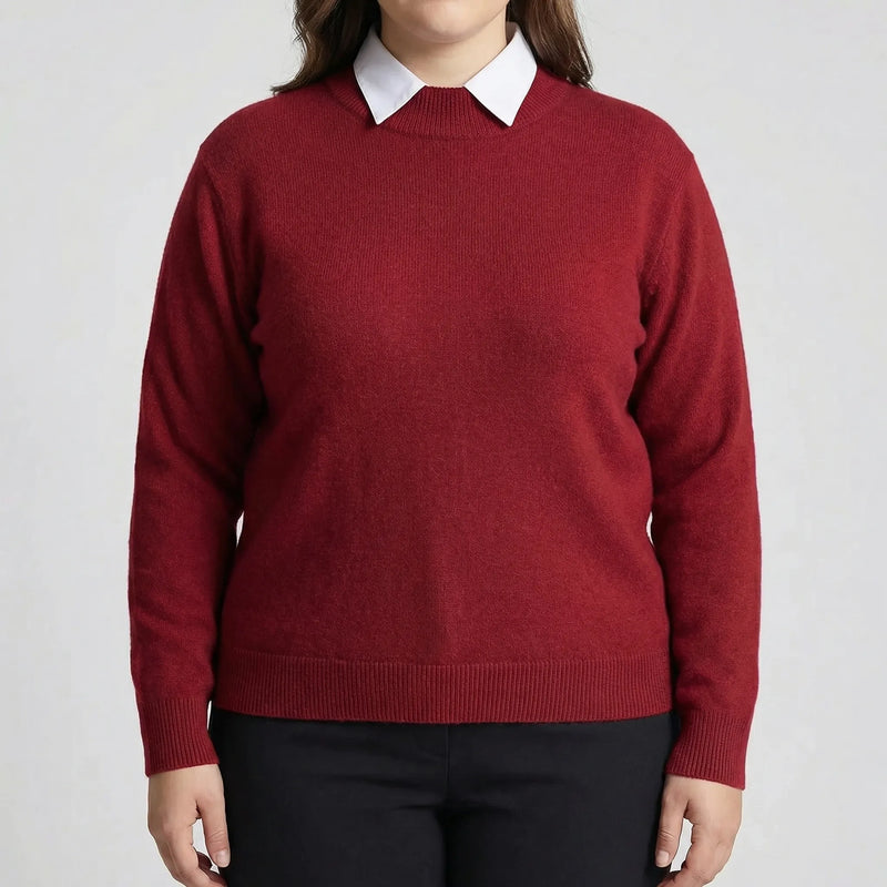 Plus Size Long Sleeve Sweater - Delia