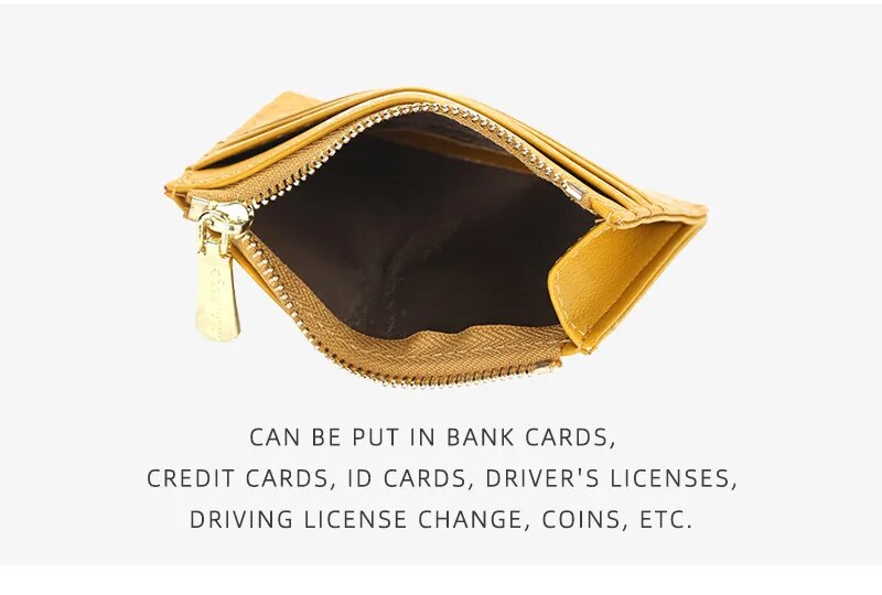 Padded Card Holder | Compact & Trendy