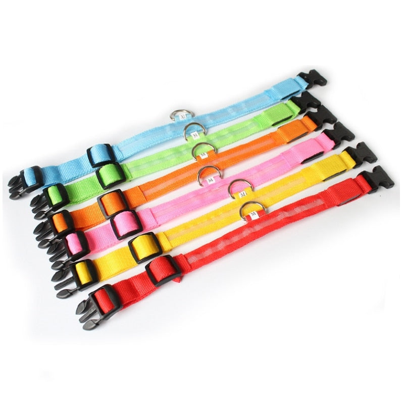 Hondenhalsband met LED Verlichting - GlowCollar