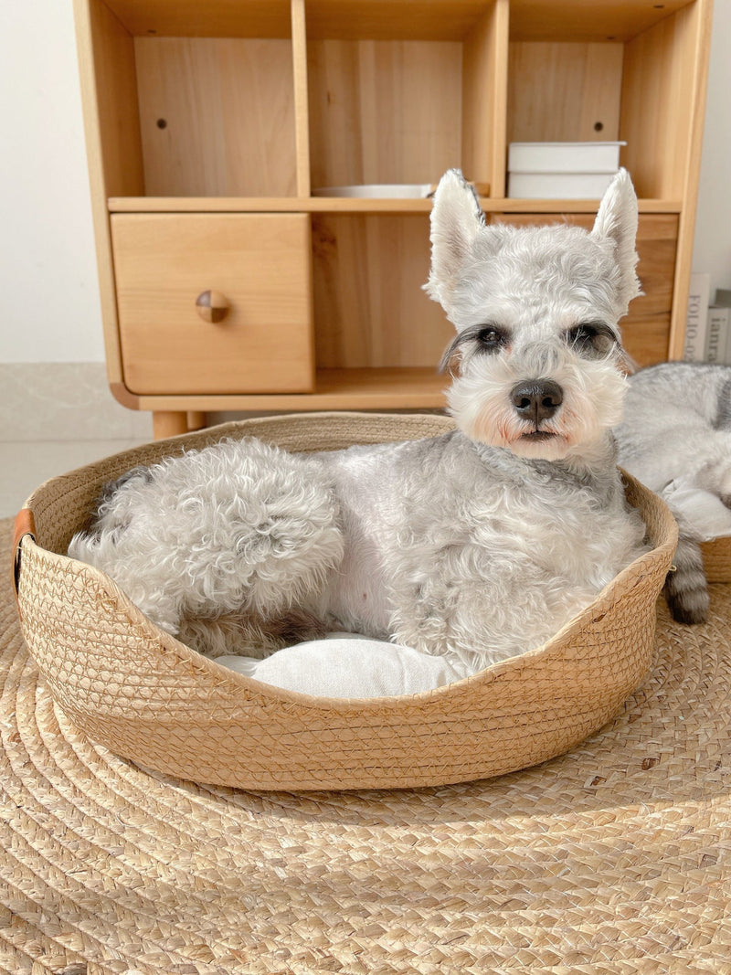Handgemaakt Comfortabel Bed voor Katten - LuxeSnooze