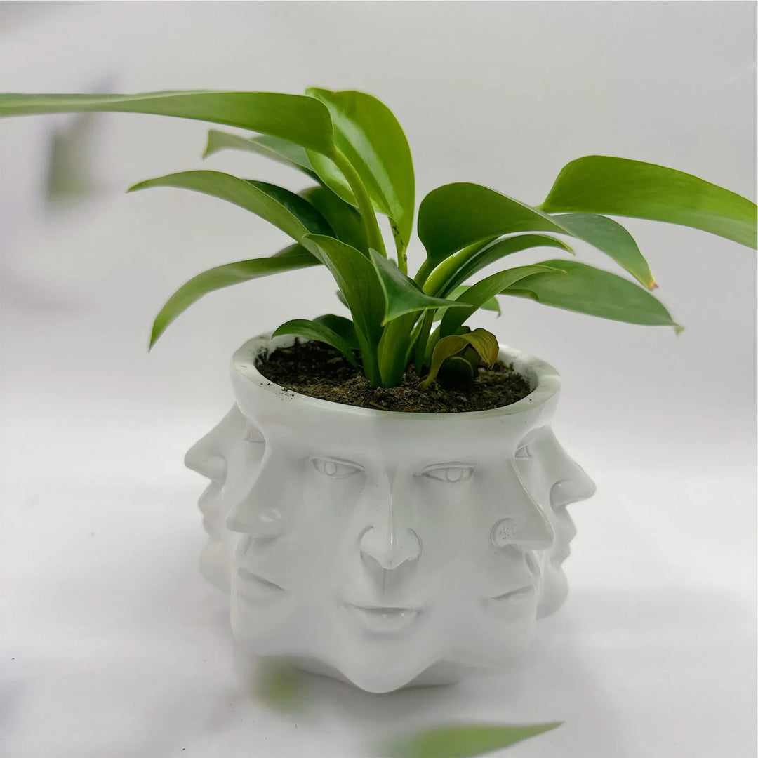 3D-Gesichts-Blumentopf - FaceBloom