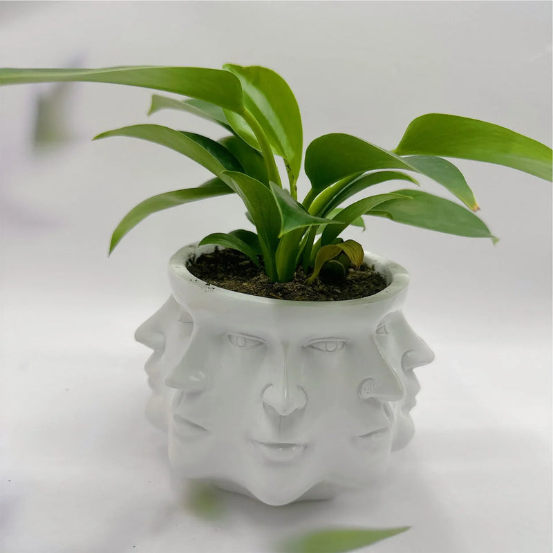 3D-Gesichts-Blumentopf - FaceBloom