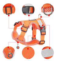 Reflecterende Tuig en Riem Set voor Kleine Honden - AirFlex