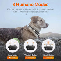 Rechargeable Electric Dog Training Collar with Remote &amp; 1000m Range – PetControl 