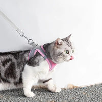 Verstellbares Katzen-Geschirr mit Leine – WhiskerWander