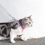 Verstellbares Katzen-Geschirr mit Leine – WhiskerWander