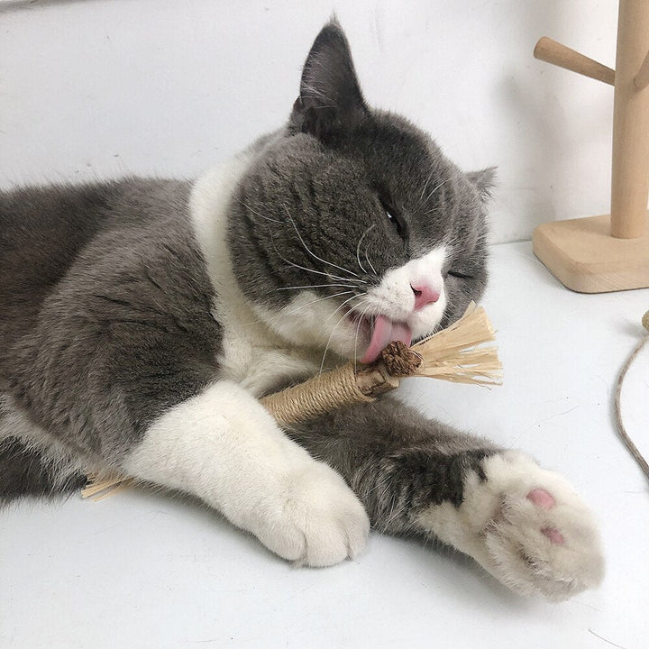 Interaktive Kauknochen für Katzen - ChewPlay