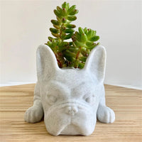 Hunde-Harz-Sukkulenten-Planter - Buddy