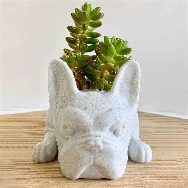 Hunde-Harz-Sukkulenten-Planter - Buddy