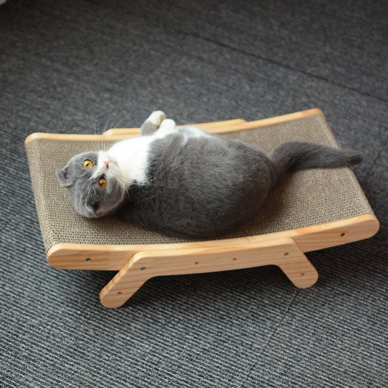 Katten Krabbed - Luna