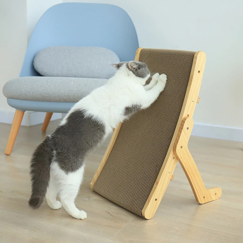 Katten Krabbed - Luna