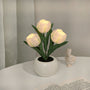 Tulpen-Nachtlampe - LumiTulip