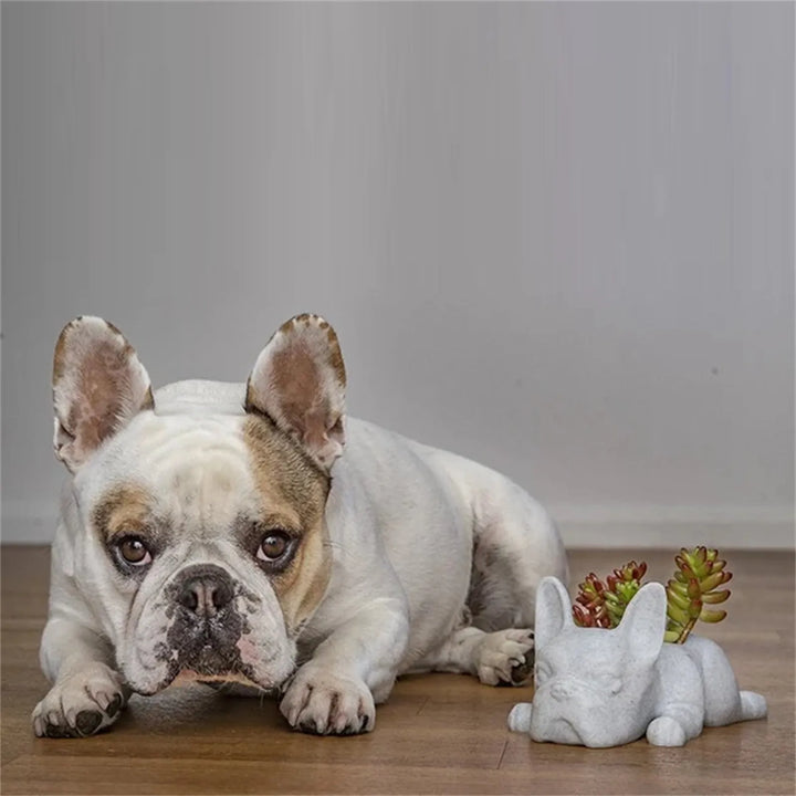Hunde-Harz-Sukkulenten-Planter - Buddy
