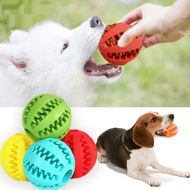 Indestructible interactive dog toy | Fun & educational