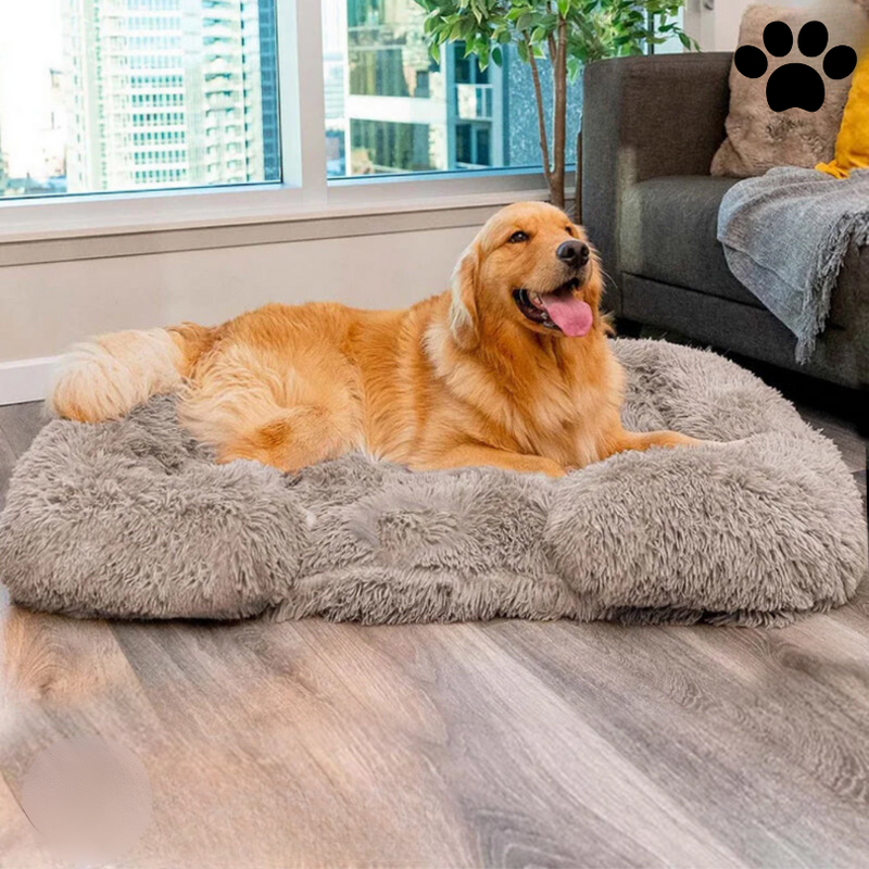Kalmerend Hondenbed met Memory Foam - Charlie