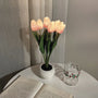Tulpen-Nachtlampe - LumiTulip