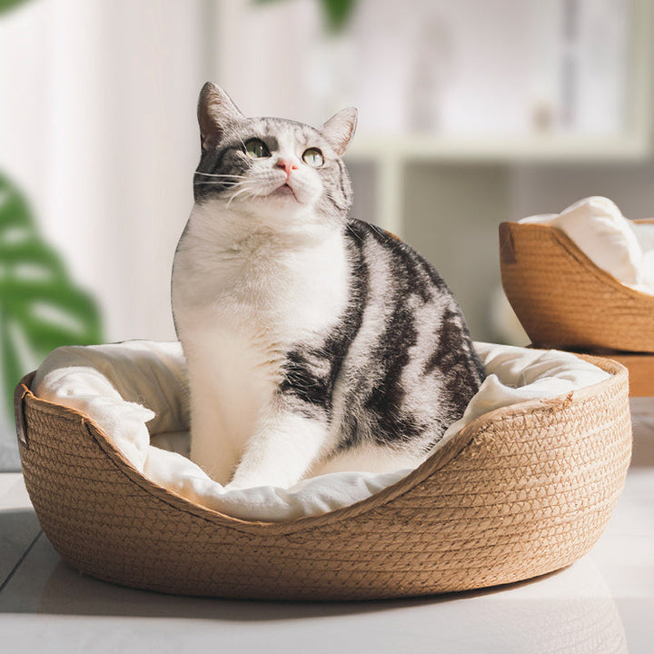 Handgemaakt Comfortabel Bed voor Katten - LuxeSnooze