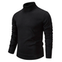 Weicher & bequemer Herren Rollkragenpullover aus Baumwolle – Jonas