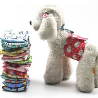 Washable Trendy Dog Diaper | No More Accidents