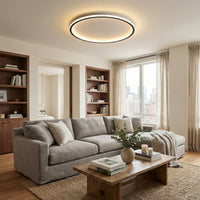Ronde plafondlamp aan en boven een gezellige woonkamer met grijze bank, houten salontafel en boekenkasten. 4
