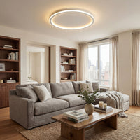 Ronde lichtring aan het plafond van een woonkamer met grijze hoekbank, houten salontafel, boekenkasten en een raam met gordijnen. 5