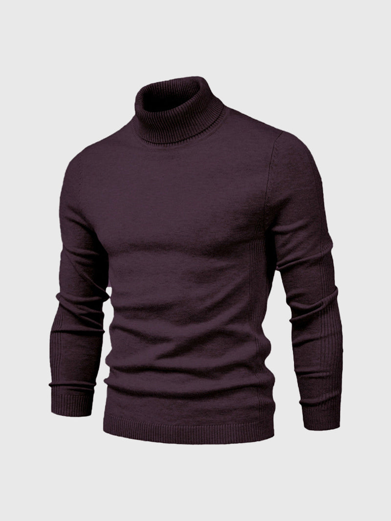 Schmal Geschnittener Rollkragenpullover Für Herren - Dario