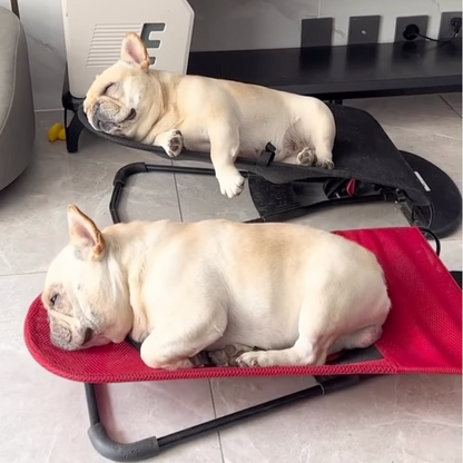 Luxe Schommelstoel voor Honden - Swingo