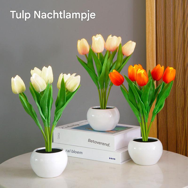 Tulpen-Nachtlampe - LumiTulip