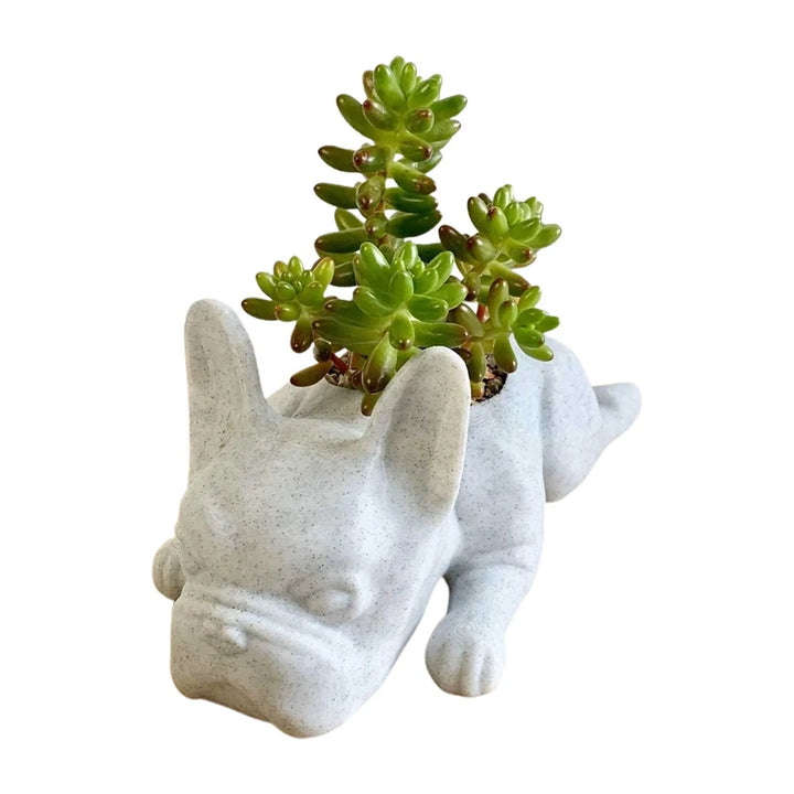 Hunde-Harz-Sukkulenten-Planter - Buddy