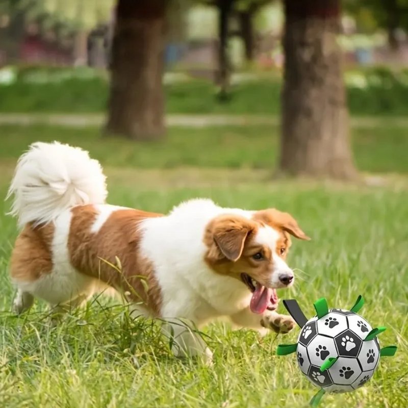 Duurzame Hondenvoetbal met Handvatten – TugBounce