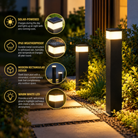 Informatieve afbeelding met twee lichtpalen langs een tuinpad en vier inzetbeelden over zonne-energie, weerbestendigheid, ontwerp en warmwit licht. 3