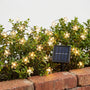 Solar Outdoor String Lights - Blossomray
