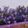 Solar Outdoor String Lights - Blossomray