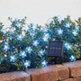 Solar Outdoor String Lights - Blossomray