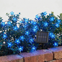 Solar Outdoor String Lights - Blossomray