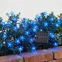 Solar Outdoor String Lights - Blossomray