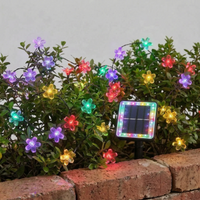 Solar Outdoor String Lights - Blossomray