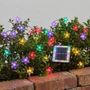 Solar Outdoor String Lights - Blossomray