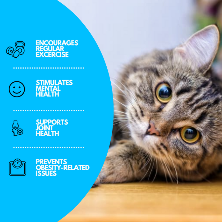 Interactive Water Play Mat for Cats - AquaPaws