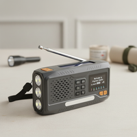 Tragbares Notradio Mit Solarpanel - SunTone