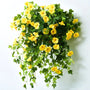 Dichte bos gele kunstbloemen met groene bladeren, tegen een witte wand gehangen, met ranken die naar beneden vallen. 5
