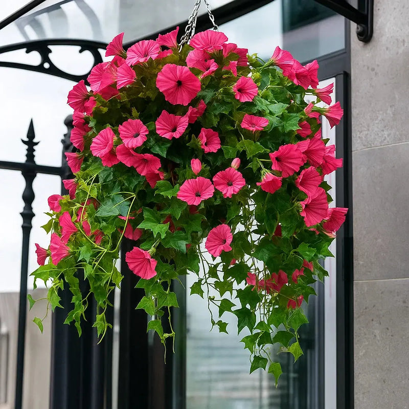 Hangende kunstbloemen met roze trompetbloemen en groene bladeren aan een ketting, buiten opgehangen voor een zwart smeedijzeren hek en glazen pui. 1